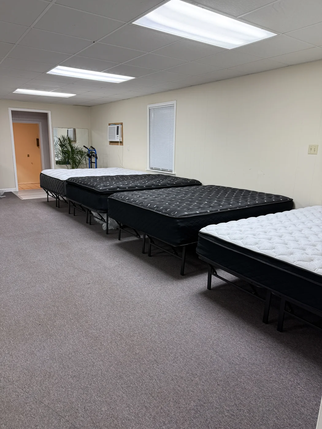 Mattress By Appointment Willis showroom with mattresses on display